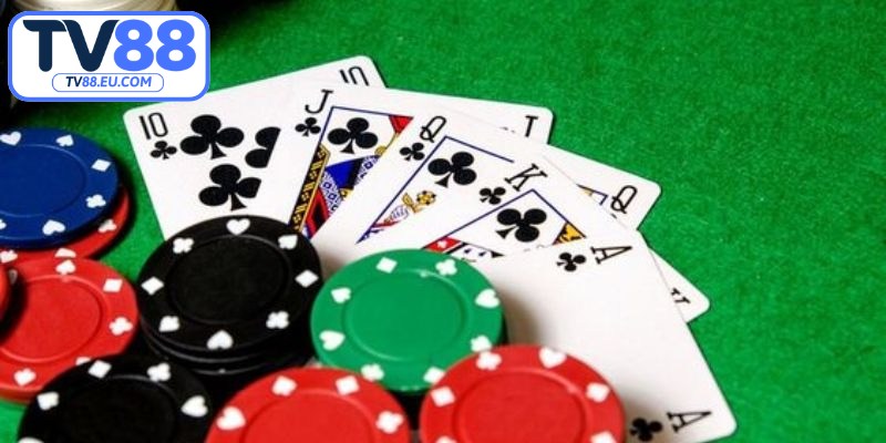 Cách chơi bài bửu 4 lá phổ biến hiện nay